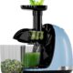 KitchenBrothers Slowjuicer review